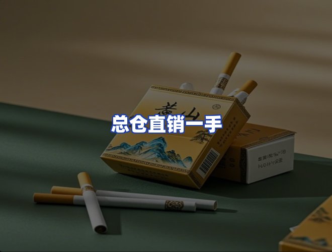 专业团队